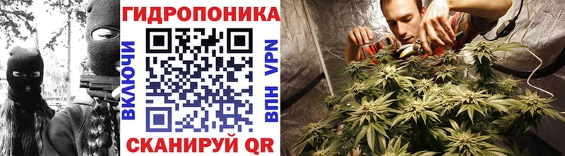 Купить закладку Павлово APVP  Каннабис 