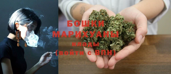 мет Арсеньев
