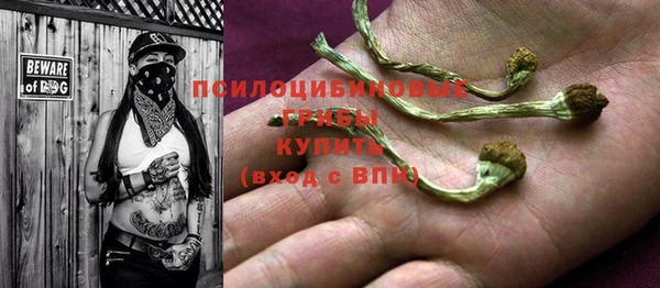 мет Арсеньев