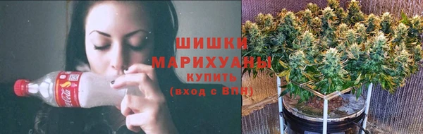 сатива Пересвет