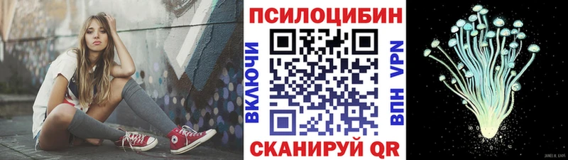 darknet состав  Павлово  Псилоцибиновые грибы мухоморы 